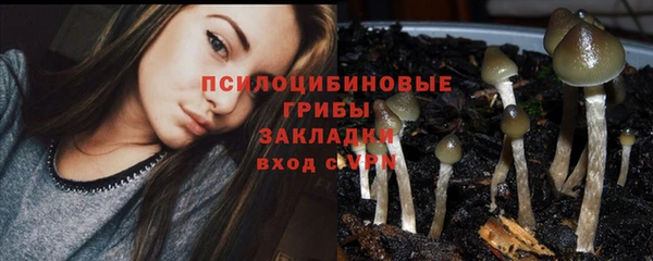 мяу мяу кристалл Новозыбков