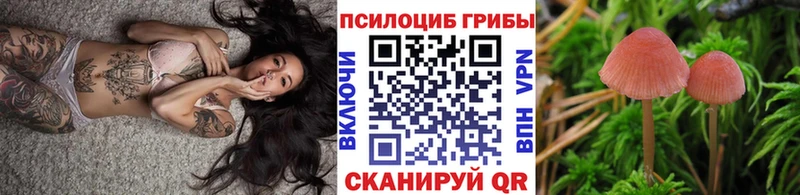 Галлюциногенные грибы Cubensis  Западная Двина 